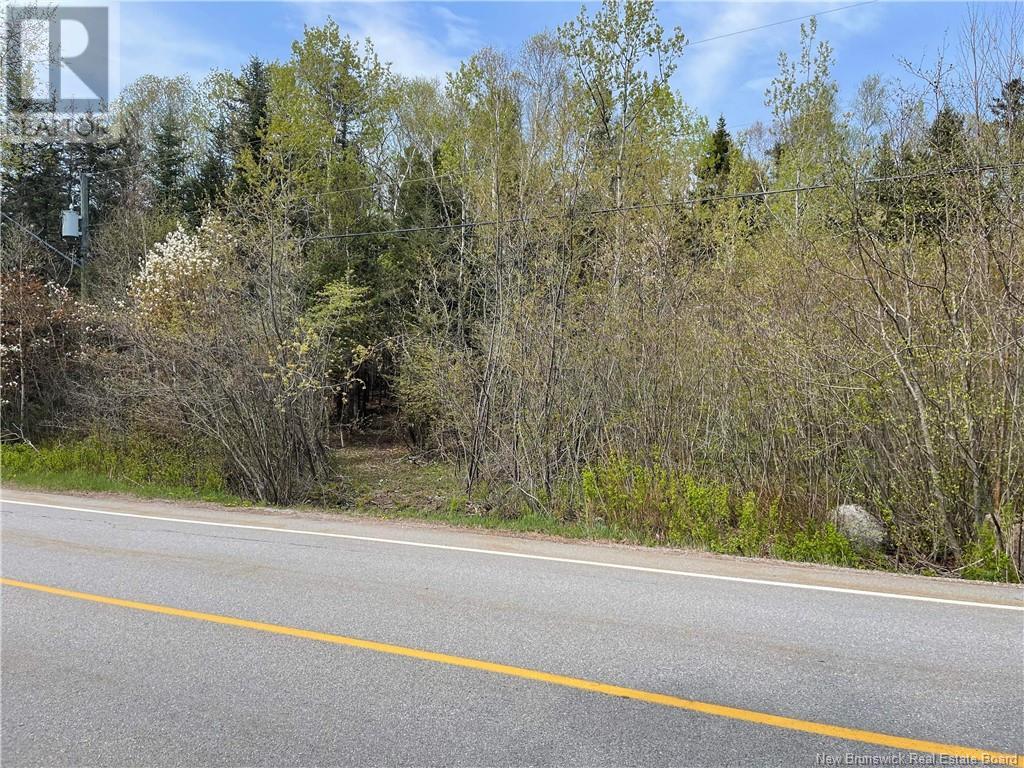 Vacant Lot South Street, St George, New Brunswick  E5C 3R1 - Photo 2 - NB109978