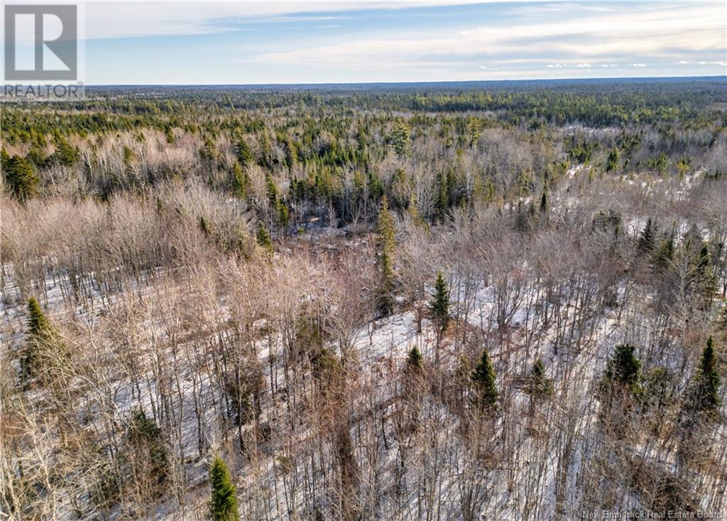 Lot 24.5-7 West Galloway Road, Galloway, New Brunswick  E4W 2P5 - Photo 15 - NB109942