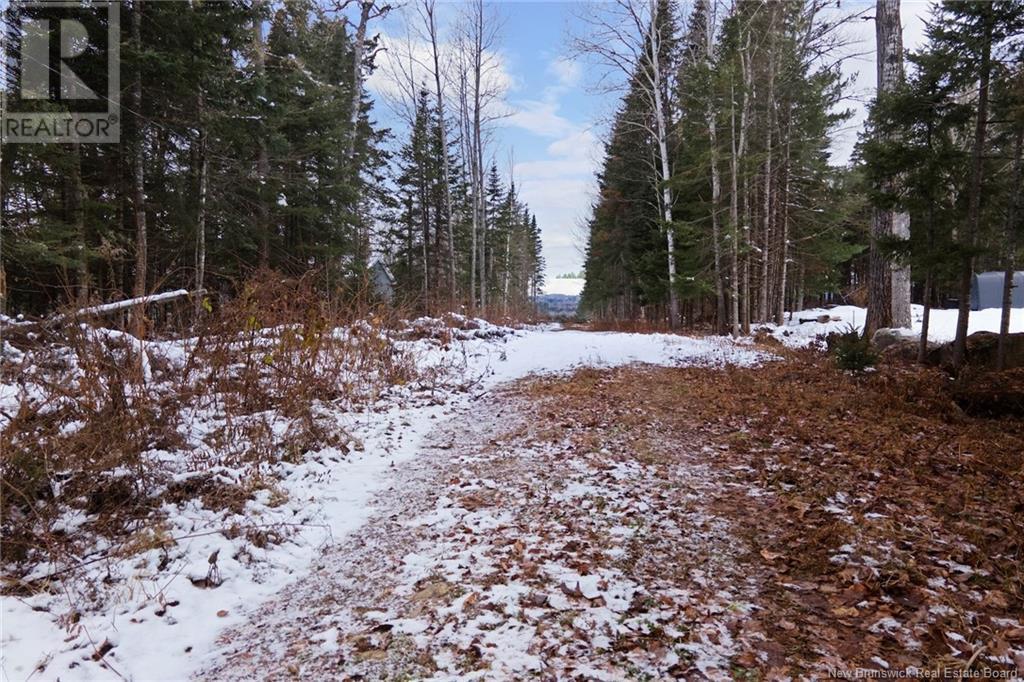 0 Route 605, Pinder, New Brunswick  E6G 1C8 - Photo 17 - NB110014