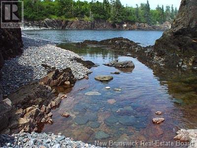 Lot 86-71 Fundy Drive, Campobello, New Brunswick  E5E 1X2 - Photo 4 - NB110042