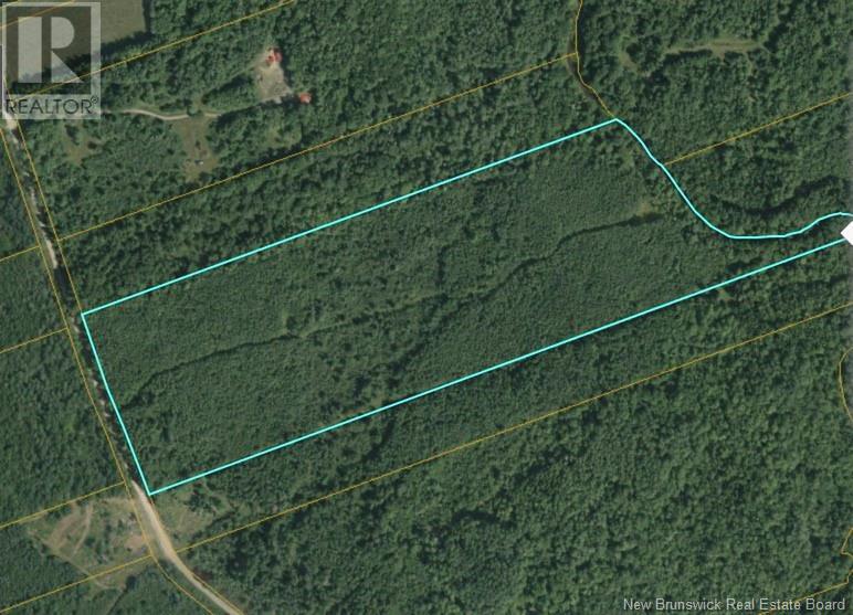 Lot Cormier Village Road, Cormier Village, New Brunswick  E4P 5X2 - Photo 2 - NB110013