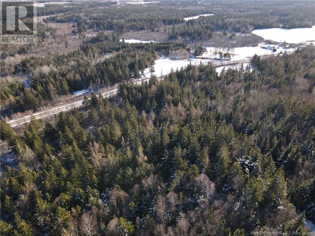 345 Lakefield Road, Cassidy Lake, New Brunswick  E4E 3N9 - Photo 10 - NB110064