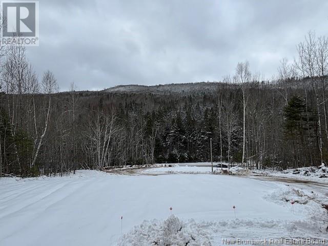 177 Parlee Brook Road, Waterford, New Brunswick  E4E 4Y9 - Photo 23 - NB110103