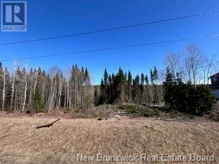 70 Leeland Way, Killarney Road, New Brunswick  E3A 5M7 - Photo 7 - NB110133