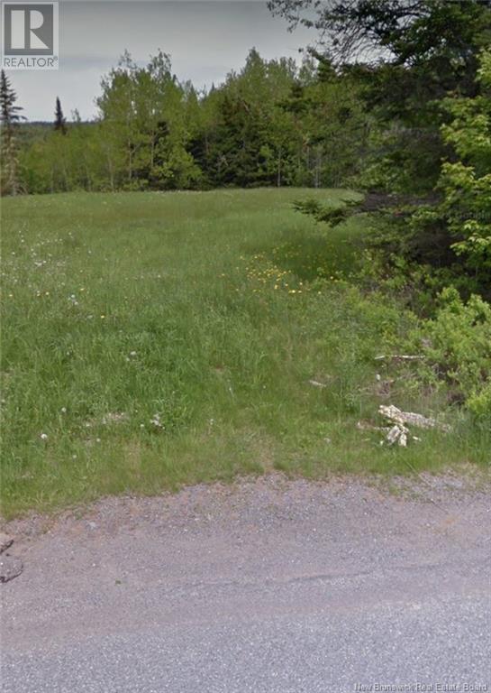 Drawlin Road, Barnesville, New Brunswick  E5N 3P2 - Photo 3 - NB110184