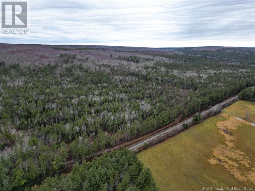 1520 Route 905, Elgin, New Brunswick  E4Z 6M6 - Photo 32 - NB110135