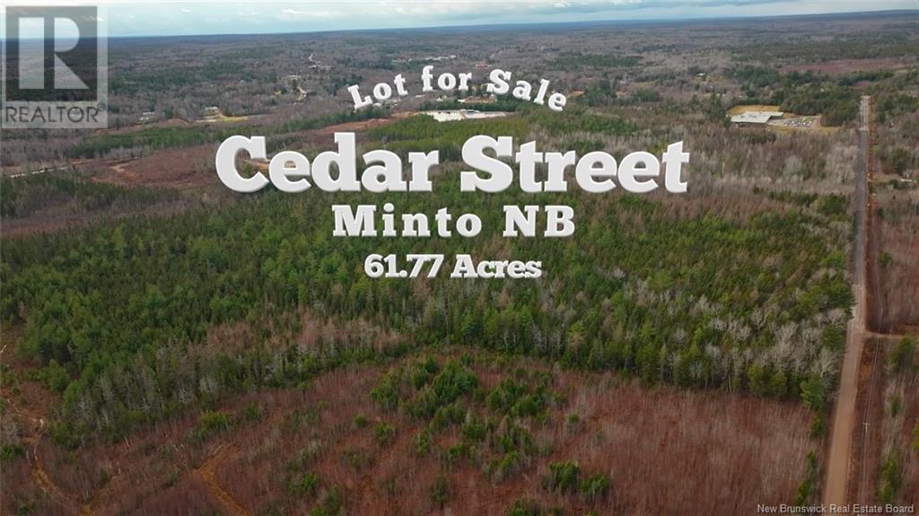 Lot Cedar Street, Minto, New Brunswick