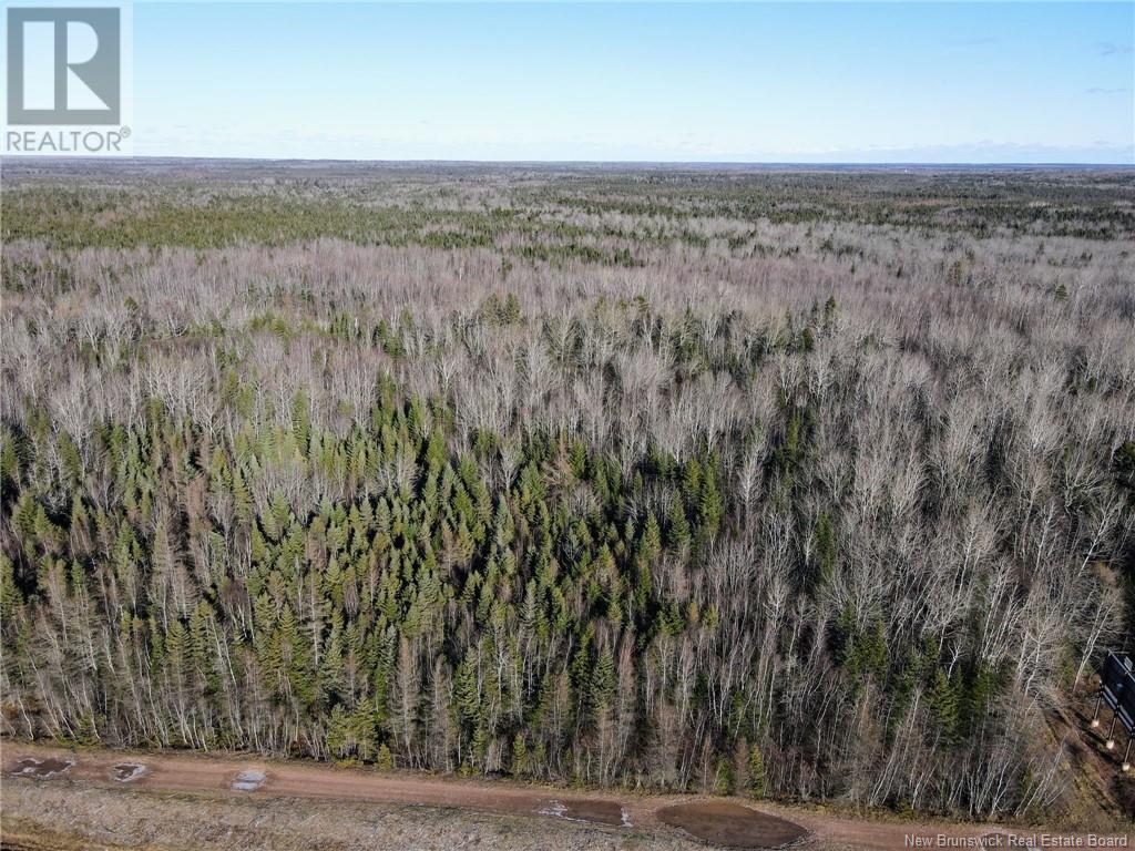 4 Lots Off Hwy 2, Lakeburn, New Brunswick  E1A 7J6 - Photo 12 - NB110225