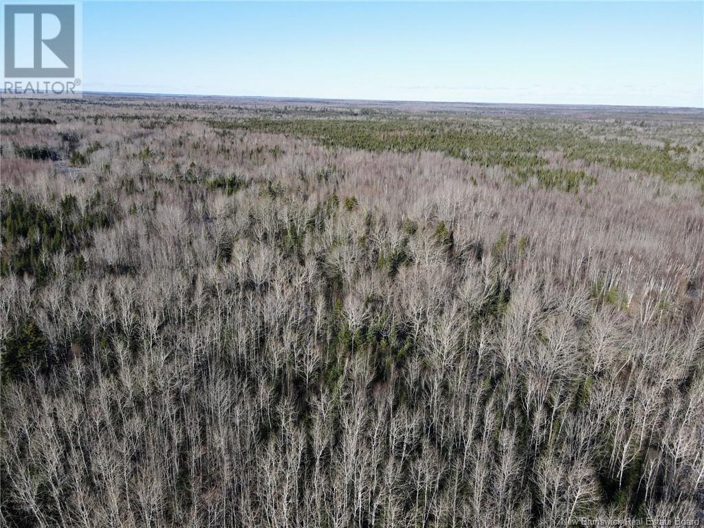 4 Lots Off Hwy 2, Lakeburn, New Brunswick  E1A 7J6 - Photo 14 - NB110225