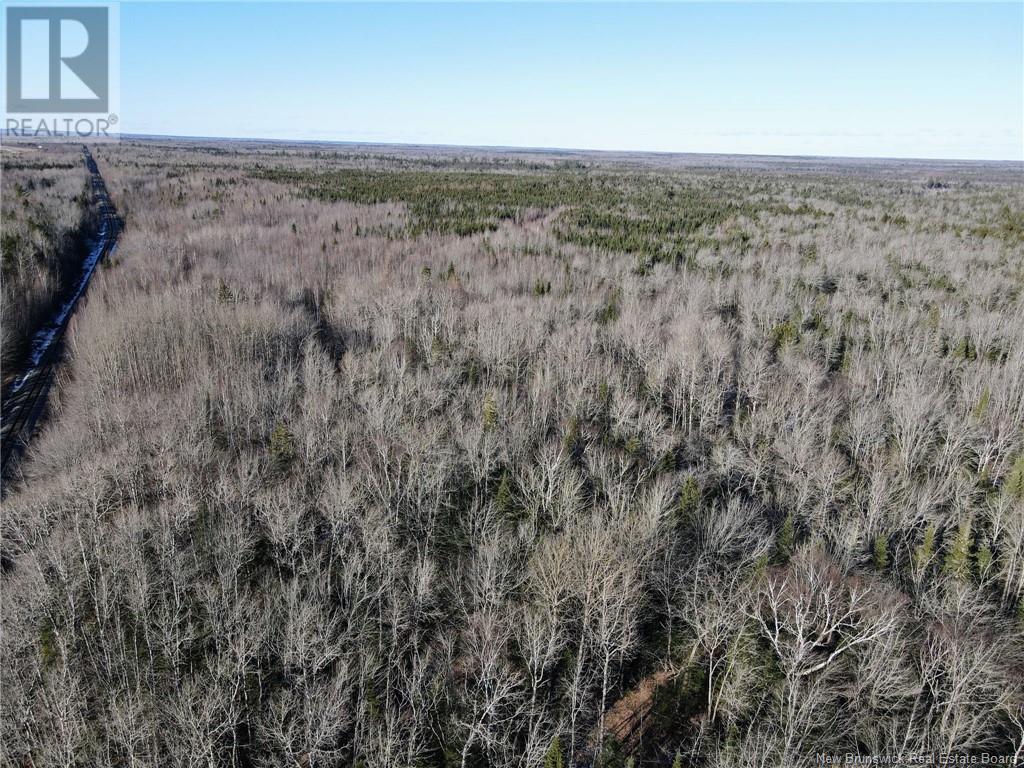 4 Lots Off Hwy 2, Lakeburn, New Brunswick  E1A 7J6 - Photo 16 - NB110225