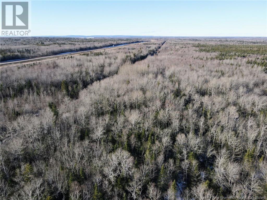 4 Lots Off Hwy 2, Lakeburn, New Brunswick  E1A 7J6 - Photo 20 - NB110225