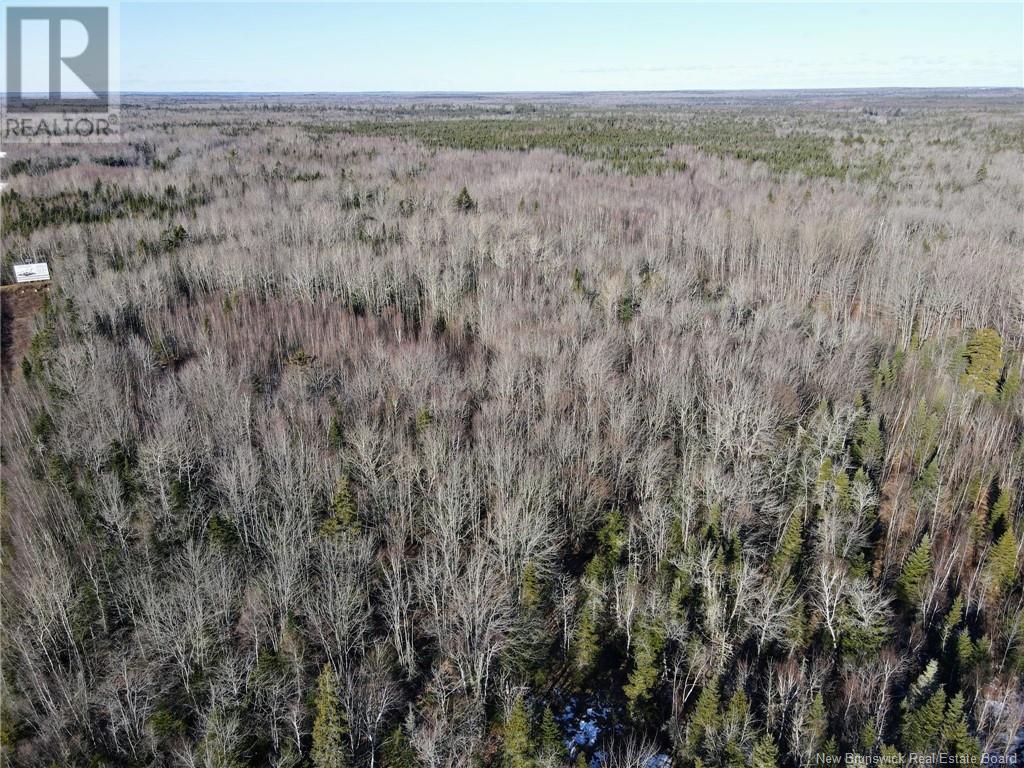 4 Lots Off Hwy 2, Lakeburn, New Brunswick  E1A 7J6 - Photo 26 - NB110225