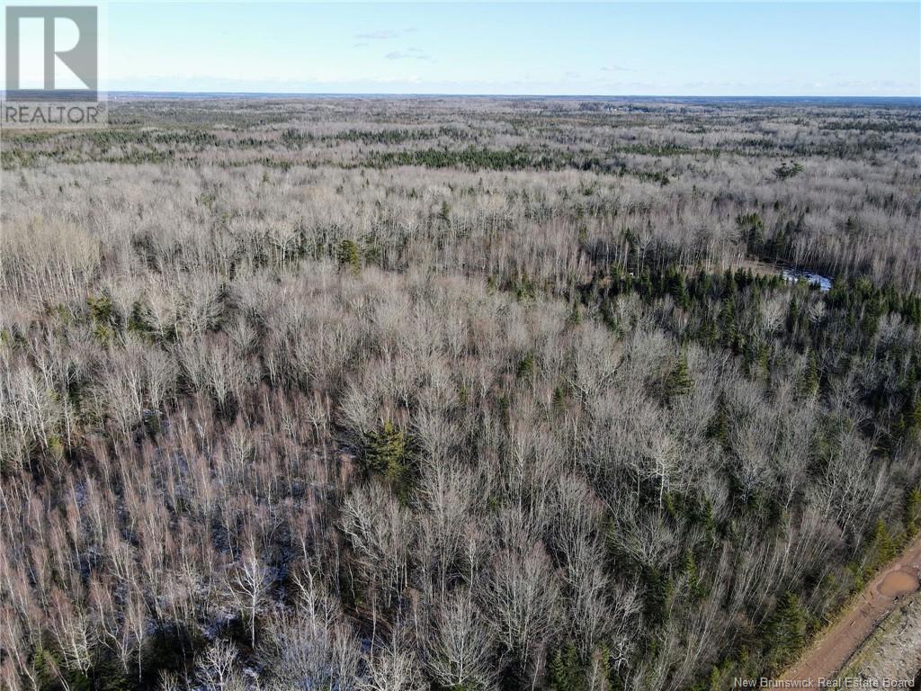 4 Lots Off Hwy 2, Lakeburn, New Brunswick  E1A 7J6 - Photo 29 - NB110225