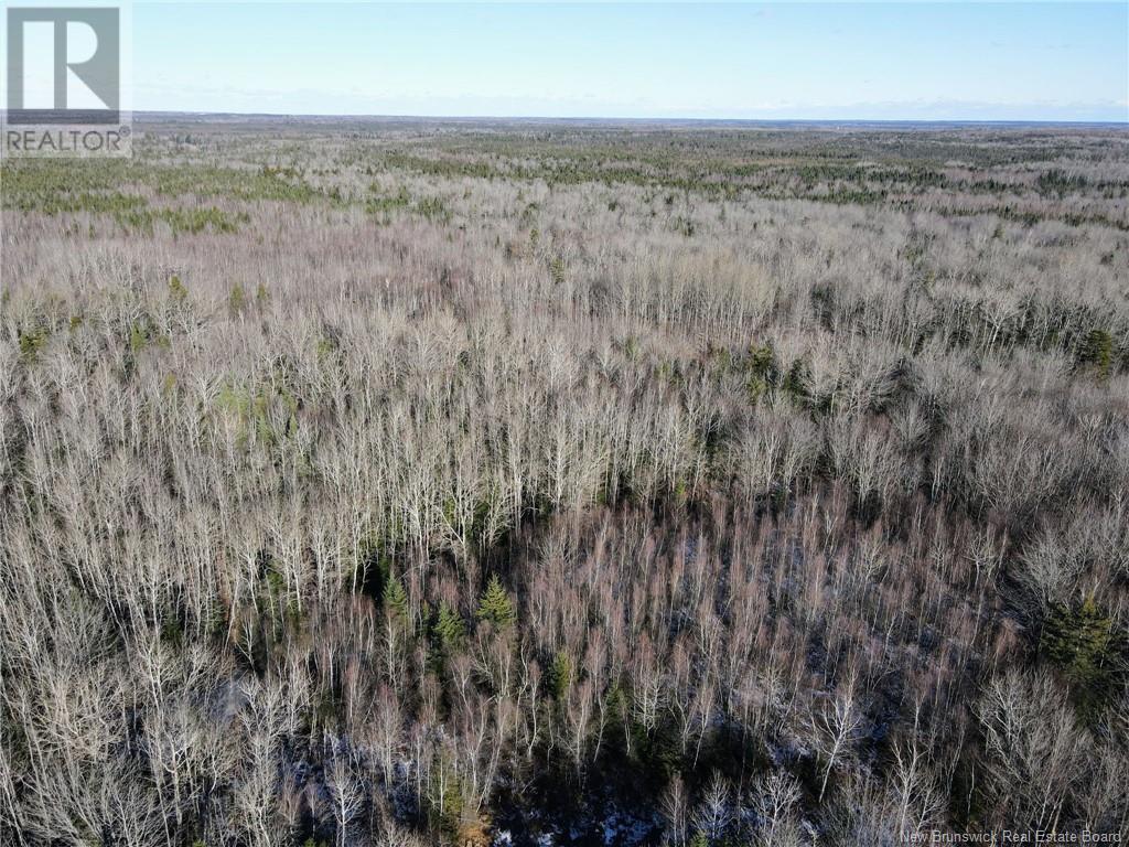 4 Lots Off Hwy 2, Lakeburn, New Brunswick  E1A 7J6 - Photo 30 - NB110225