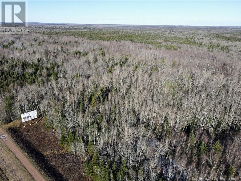 4 Lots Off Hwy 2, Lakeburn, New Brunswick  E1A 7J6 - Photo 31 - NB110225