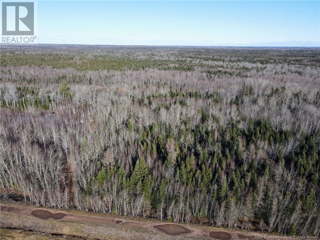 4 Lots Off Hwy 2, Lakeburn, New Brunswick  E1A 7J6 - Photo 5 - NB110225