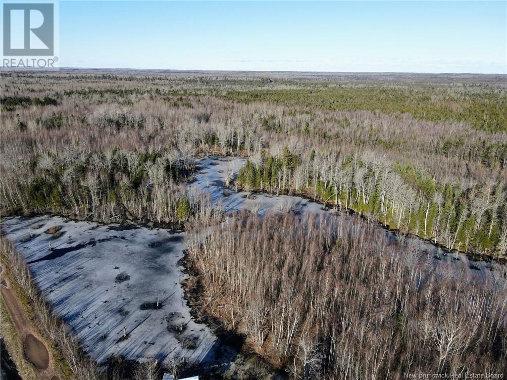 4 Lots Off Hwy 2, Lakeburn, New Brunswick  E1A 7J6 - Photo 8 - NB110225