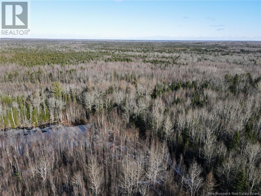 4 Lots Off Hwy 2, Lakeburn, New Brunswick  E1A 7J6 - Photo 9 - NB110225