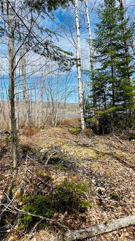 0 Second Eel River Lane, Eel River Lake, New Brunswick  E6H 0A4 - Photo 10 - NB110469