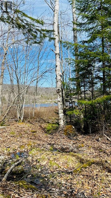 0 Second Eel River Lane, Eel River Lake, New Brunswick  E6H 0A4 - Photo 11 - NB110469