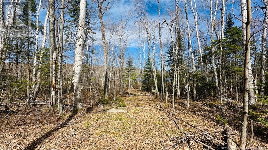 0 Second Eel River Lane, Eel River Lake, New Brunswick  E6H 0A4 - Photo 12 - NB110469