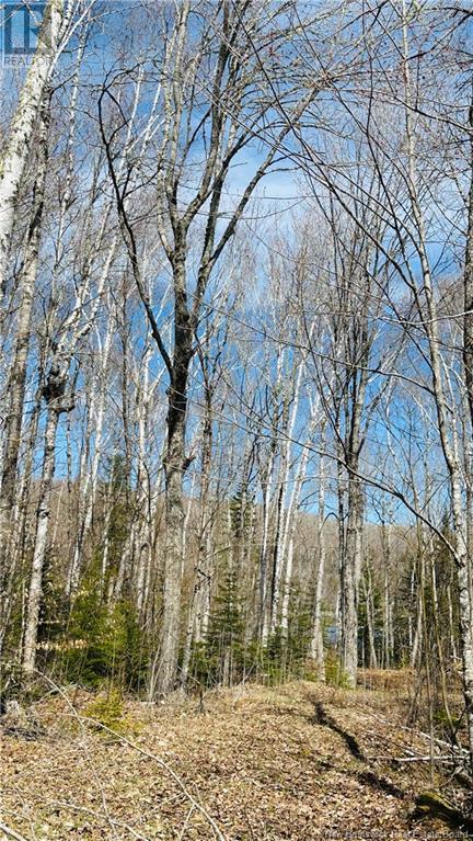 0 Second Eel River Lane, Eel River Lake, New Brunswick  E6H 0A4 - Photo 13 - NB110469