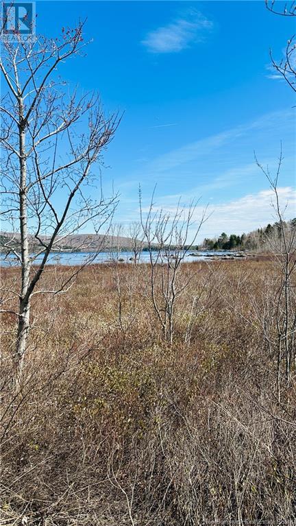 0 Second Eel River Lane, Eel River Lake, New Brunswick  E6H 0A4 - Photo 8 - NB110469