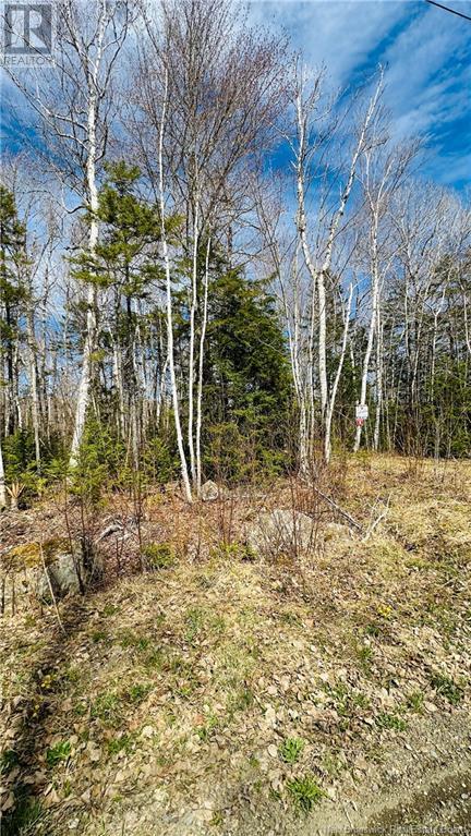 0 Second Eel River Lane, Eel River Lake, New Brunswick  E6H 0A4 - Photo 10 - NB110467