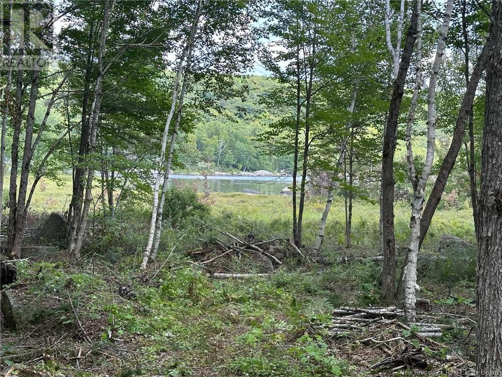 0 Second Eel River Lane, Eel River Lake, New Brunswick  E6H 0A4 - Photo 3 - NB110467