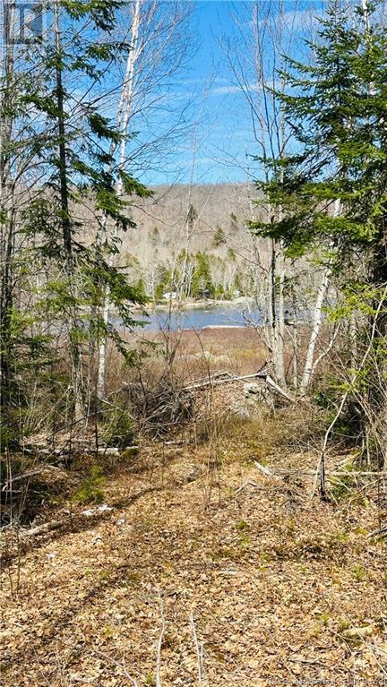 0 Second Eel River Lane, Eel River Lake, New Brunswick  E6H 0A4 - Photo 10 - NB110468