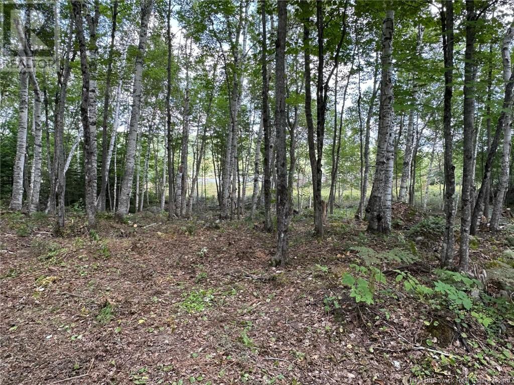 0 Second Eel River Lane, Eel River Lake, New Brunswick  E6H 0A4 - Photo 4 - NB110468