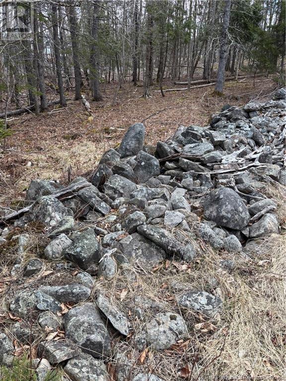 4640 Route 127, Chamcook, New Brunswick  E5B 3A3 - Photo 10 - NB110589