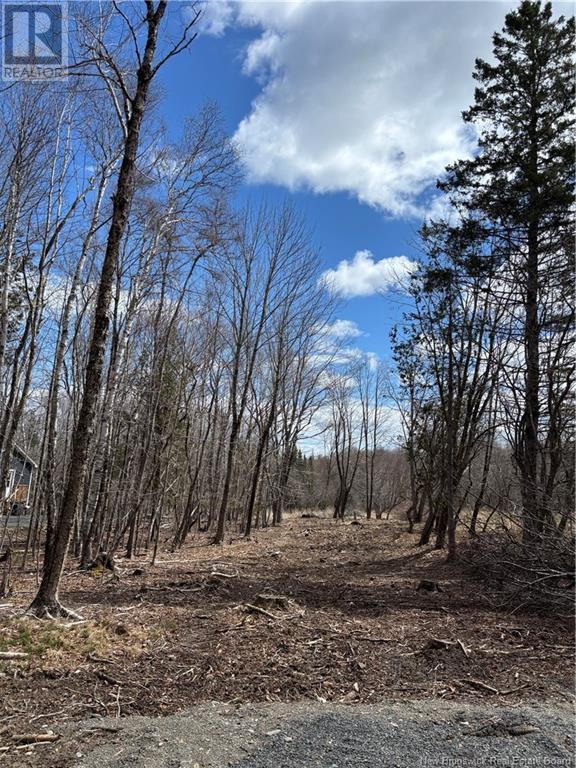 4640 Route 127, Chamcook, New Brunswick  E5B 3A3 - Photo 4 - NB110589