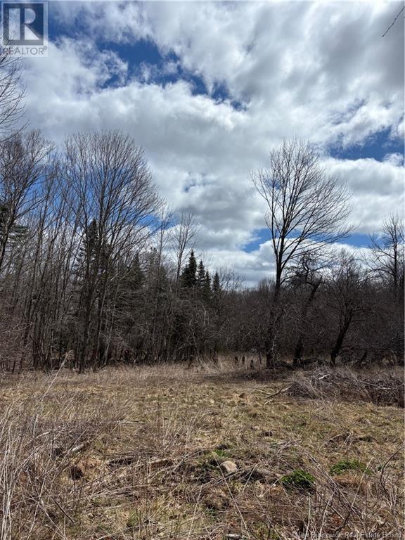 4640 Route 127, Chamcook, New Brunswick  E5B 3A3 - Photo 5 - NB110589