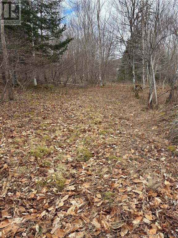 4640 Route 127, Chamcook, New Brunswick  E5B 3A3 - Photo 8 - NB110589