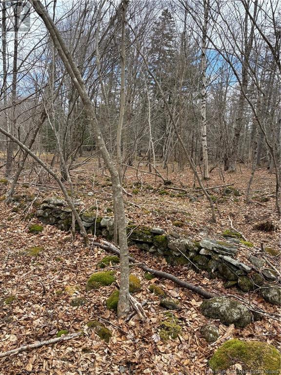4640 Route 127, Chamcook, New Brunswick  E5B 3A3 - Photo 9 - NB110589