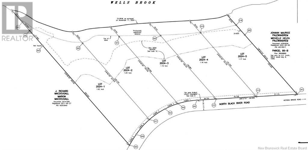 Lot 2024-1 North Black River Rd, Black River Bridge, New Brunswick  E1N 5T4 - Photo 1 - NB110599