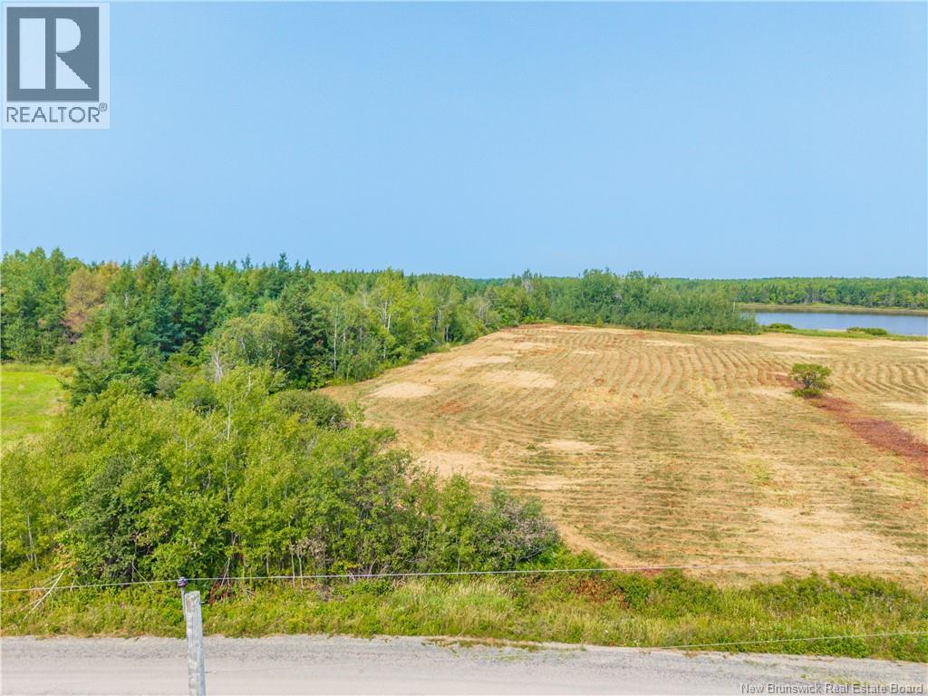 Lot 2024-1 North Black River Rd, Black River Bridge, New Brunswick  E1N 5T4 - Photo 10 - NB110599