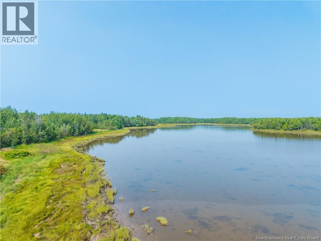 Lot 2024-1 North Black River Rd, Black River Bridge, New Brunswick  E1N 5T4 - Photo 9 - NB110599
