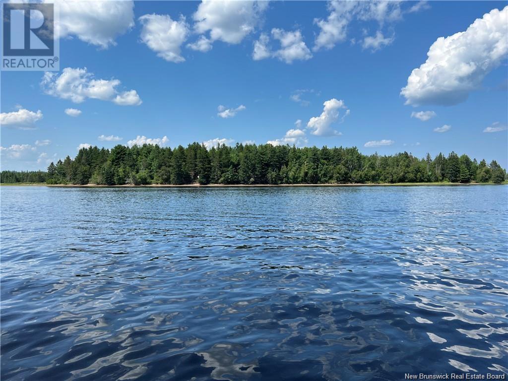 Waterfront Bass River Point, Bass River, New Brunswick  E4T 1A6 - Photo 29 - NB110654