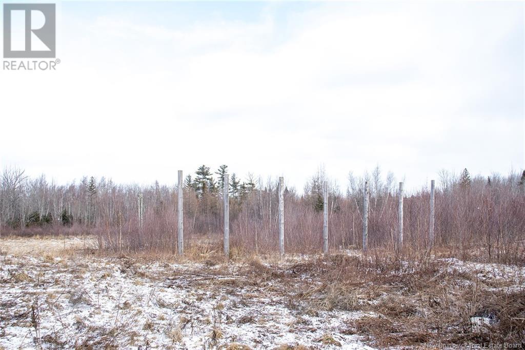 10232 Route 10 Route, Youngs Cove, New Brunswick  E4C 4N5 - Photo 5 - NB110745