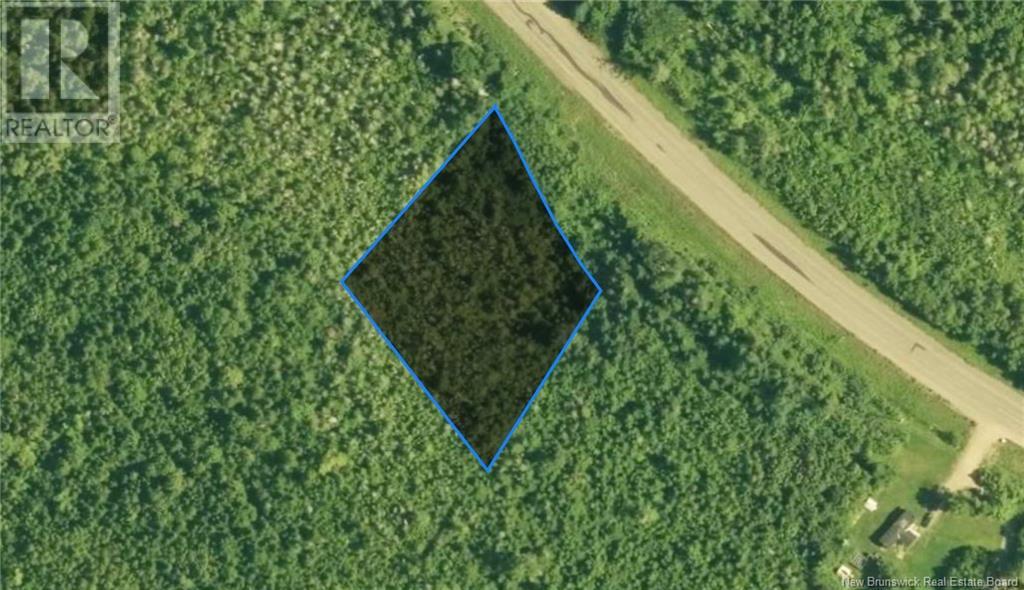 Lot Route 104, Middle Hainesville, New Brunswick  E6E 1H3 - Photo 2 - NB110751