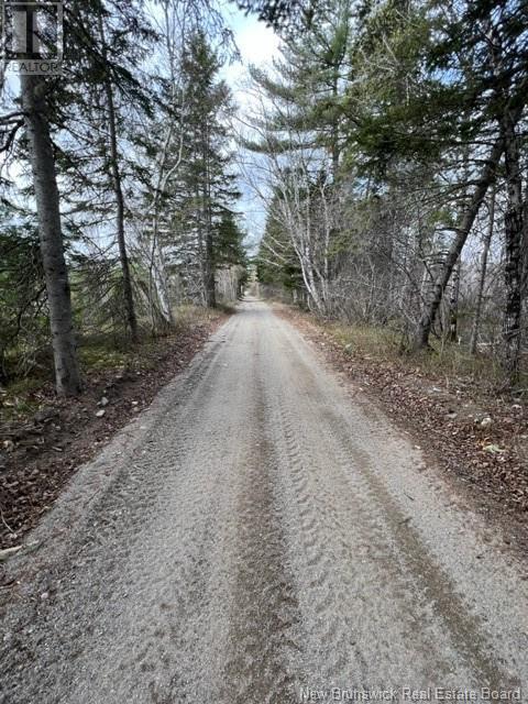 Commercial Lot Route 8, Boiestown, New Brunswick  E6A 1Z7 - Photo 28 - NB110734