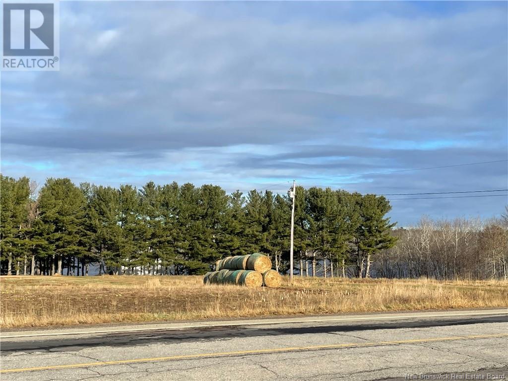 Rte 695, Cambridge-Narrows, New Brunswick  E4C 1Y3 - Photo 13 - NB110753