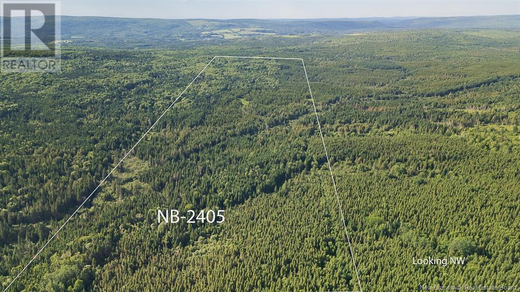 Na Back Settlement Road, Upperton, New Brunswick  E4E 3Z3 - Photo 10 - NB110780