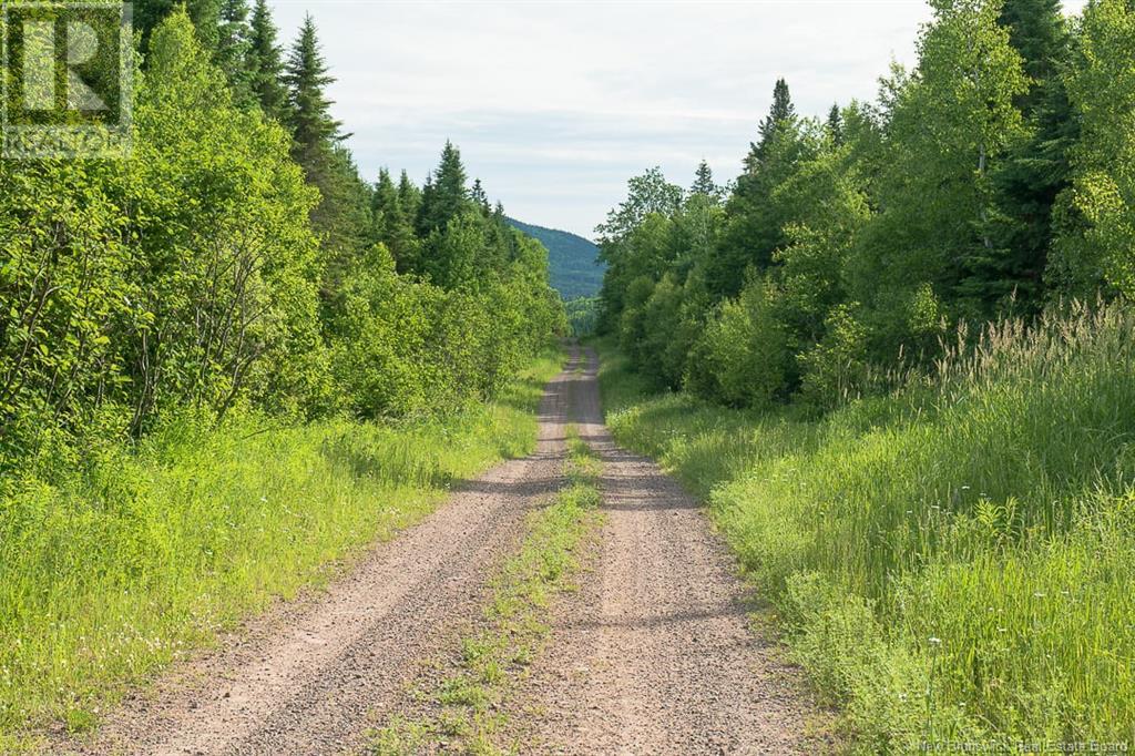 Na Back Settlement Road, Upperton, New Brunswick  E4E 3Z3 - Photo 12 - NB110780