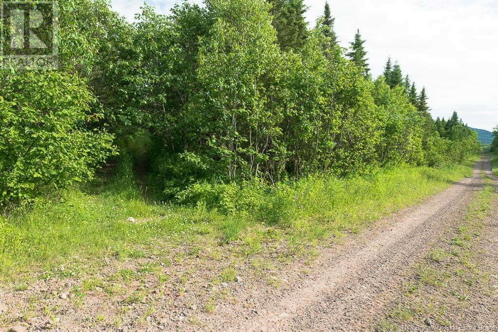 Na Back Settlement Road, Upperton, New Brunswick  E4E 3Z3 - Photo 13 - NB110780