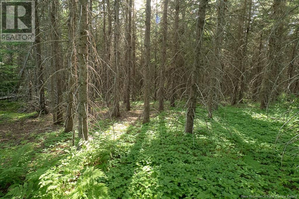 Na Back Settlement Road, Upperton, New Brunswick  E4E 3Z3 - Photo 16 - NB110780