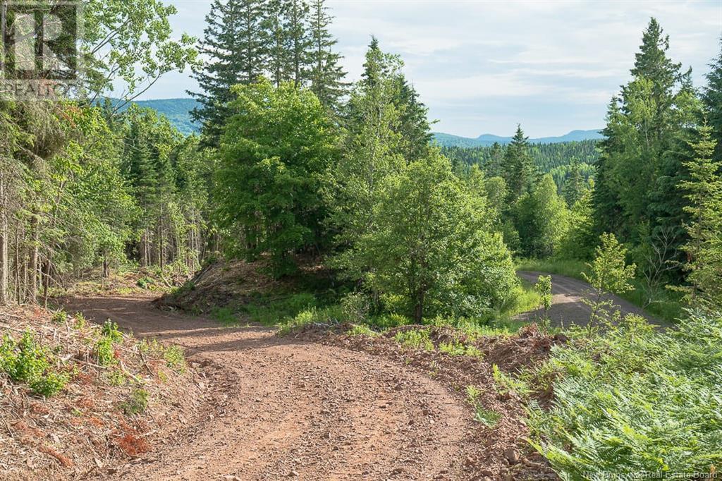 Na Back Settlement Road, Upperton, New Brunswick  E4E 3Z3 - Photo 17 - NB110780