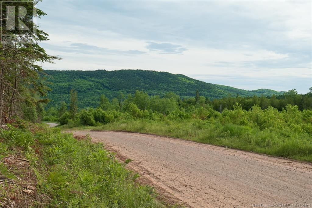 Na Back Settlement Road, Upperton, New Brunswick  E4E 3Z3 - Photo 19 - NB110780